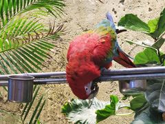 -杭州开元森泊度假乐园