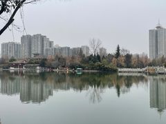 -莲湖公园
