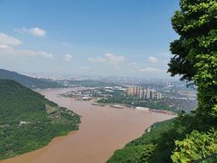 -铁山坪森林公园