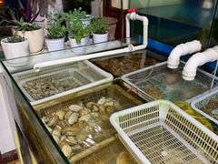 水产区-公寓家常菜馆(海军博物馆店)