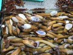 -渔傅·蓝海岸霞浦海鲜(正祥店)