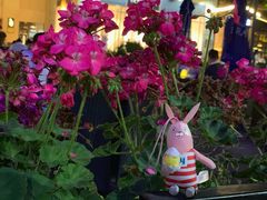 -证大大拇指广场(芳甸路店)