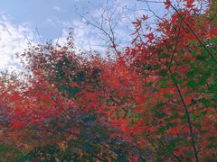 -崂山九水游览区