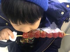 -和禄德冰糖葫芦