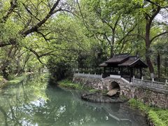 -红梅公园