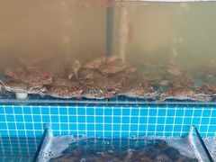 -蓝珊甄选海鲜自助·火锅大排档(近阿那亚店)