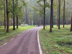 -黄海国家森林公园