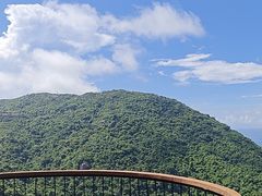 -三亚亚龙湾人间天堂鸟巢度假村