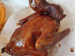 红烧BB乳鸽-稻香酒家·33年老字号·港式粤菜(富邦中心店)