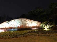 -南翔镇银翔湖公园