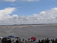 -观潮胜地公园