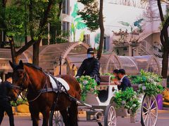 -J Create城市露营咖啡·简餐·宠物(上海动物园店)