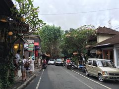 -乌布德传统市场