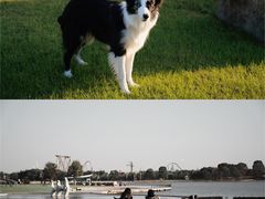 -上海月湖雕塑公园