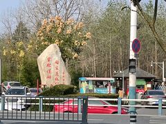 -合肥滨湖国家森林公园