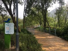 -西湖风景区-江洋畈生态公园