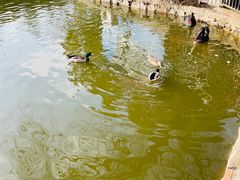 -合肥野生动物园