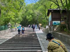 -灵岩山风景区