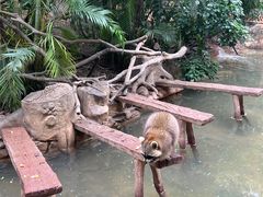 -长鹿旅游休博园