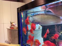 -釜山火炉韩式炭火烤肉(欧洲城店)