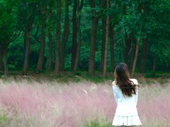 -昆山城市生态森林公园