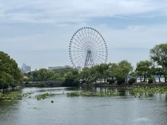 -无锡蠡湖国家湿地公园-蠡园