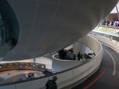 -美国自然历史博物馆