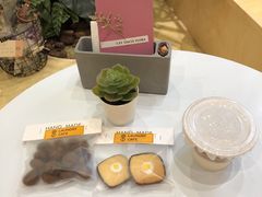 -XI·LaundryCafe 喜咖自助洗衣咖啡店