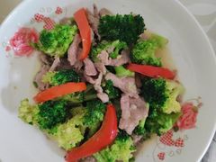 -田螺阿姨自营月嫂·育儿嫂(高新店)