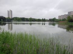 -洋湖国家湿地公园