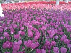 -宋记冕宁土菜馆(海门渔村二店)