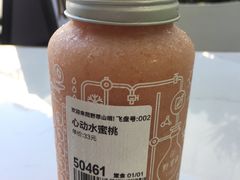 -野萃山·潮汕厚果汁(十亩地店)