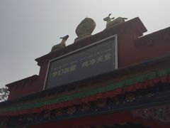 -武清南湖绿博园