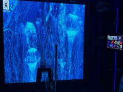-唱吧麦颂KTV·派对(东坝店)