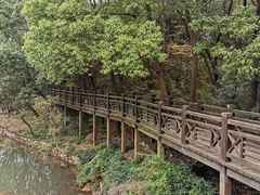 -白马涧龙池景区