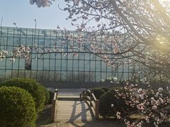 -莫子山公园