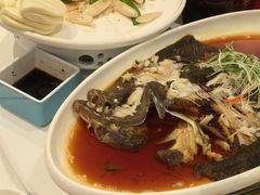 -百姓渔村(南中环店)