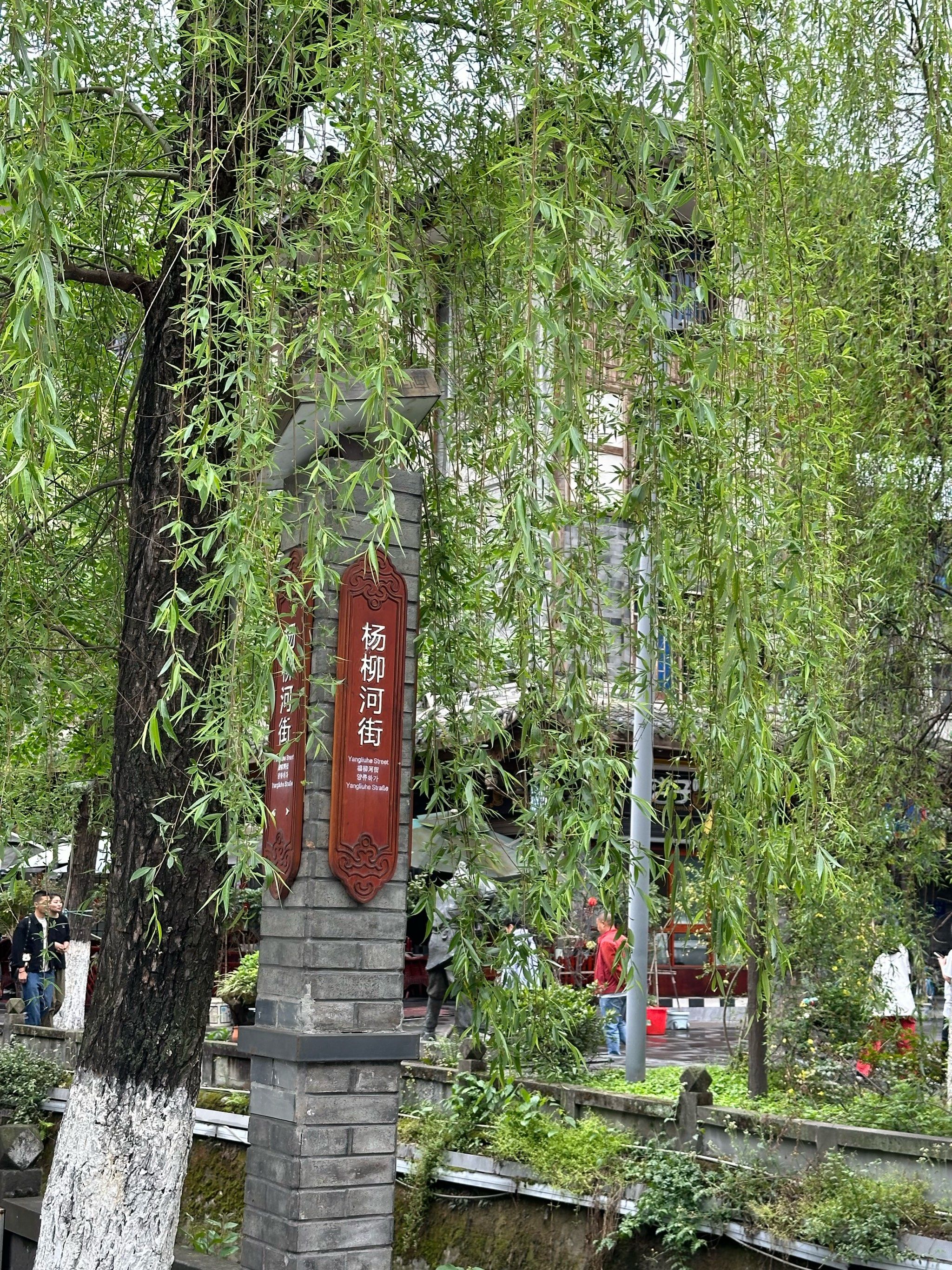 灌县古城·杨柳河街