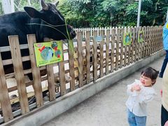-广州长隆飞鸟乐园