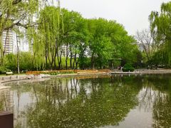 -玲珑塔公园