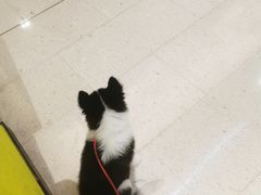 -希尔顿欢朋酒店自助餐