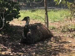 -威勒比开放式动物园