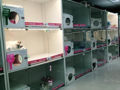 -lincat·猫舍(广州店)