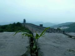 -黄贤森林公园