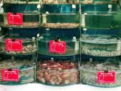 水产区-北戴河庆山饭店·海鲜砂锅粥(北戴河黑石路店)