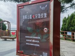-燕儿岛山公园