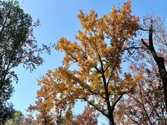 -艾溪湖湿地公园