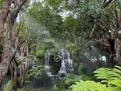 -Chom Cafe and Restaurant