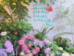 -懒人盐府人家·自贡大麻鱼(安贞店)