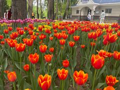 -长春公园(普阳街道)